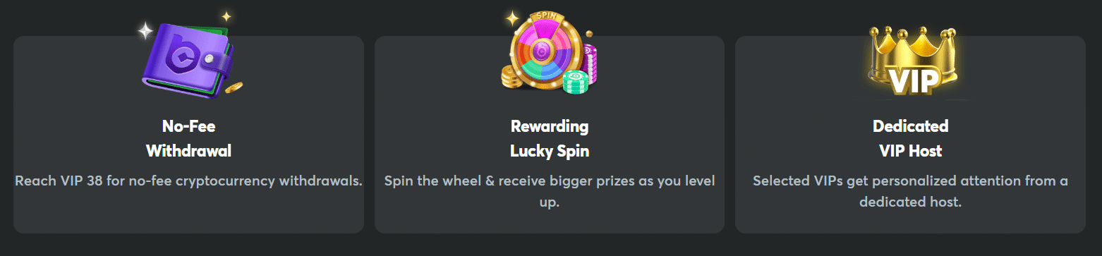 A few of the perks of the BC.GAME VIP system, a host, no-fee pay outs, and lucky spins.