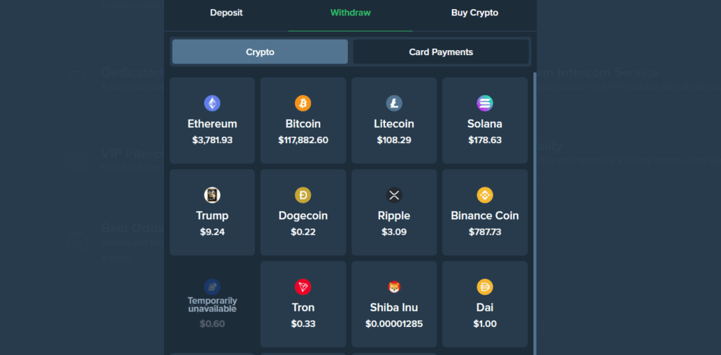 The Duelbits withdrawal tab in the site's payment window, with the crypto option chosen. 