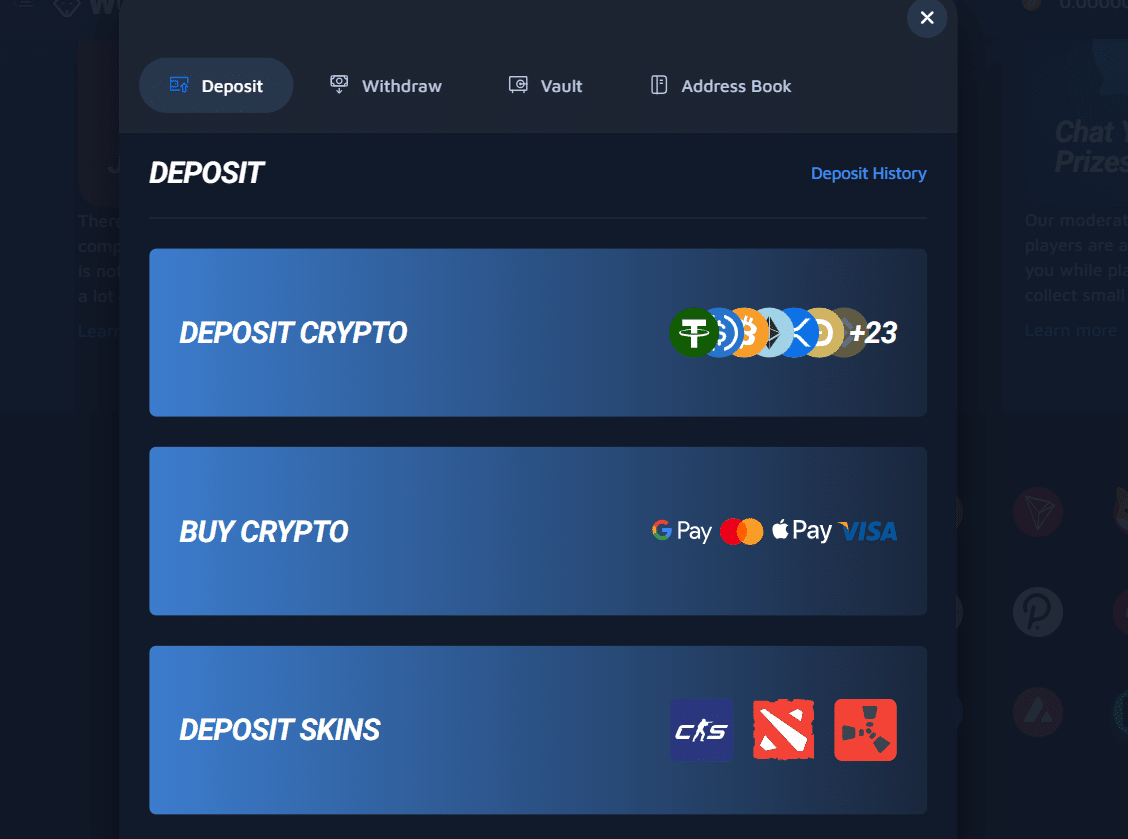 The Wolf.Bet payment window, its opening page. 