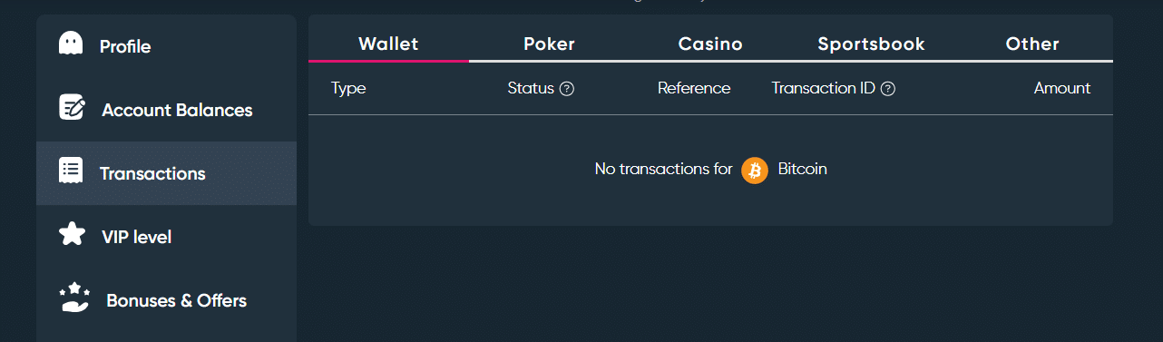 A look at the Betplay.io transaction section in the site's profile settings.