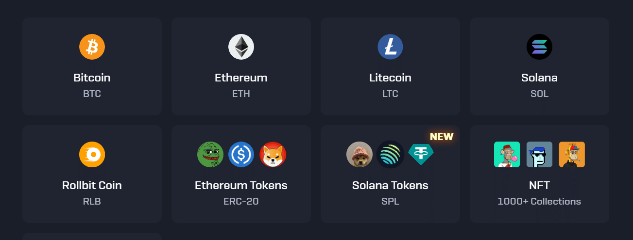 A look at the crypto payment options listed in the Rollbit payment window.