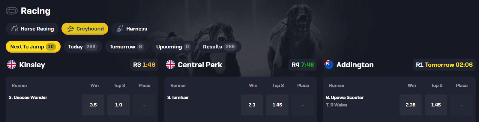A sample of the Rollbit racebook which offers horse racing, greyhound racing, and harness racing.