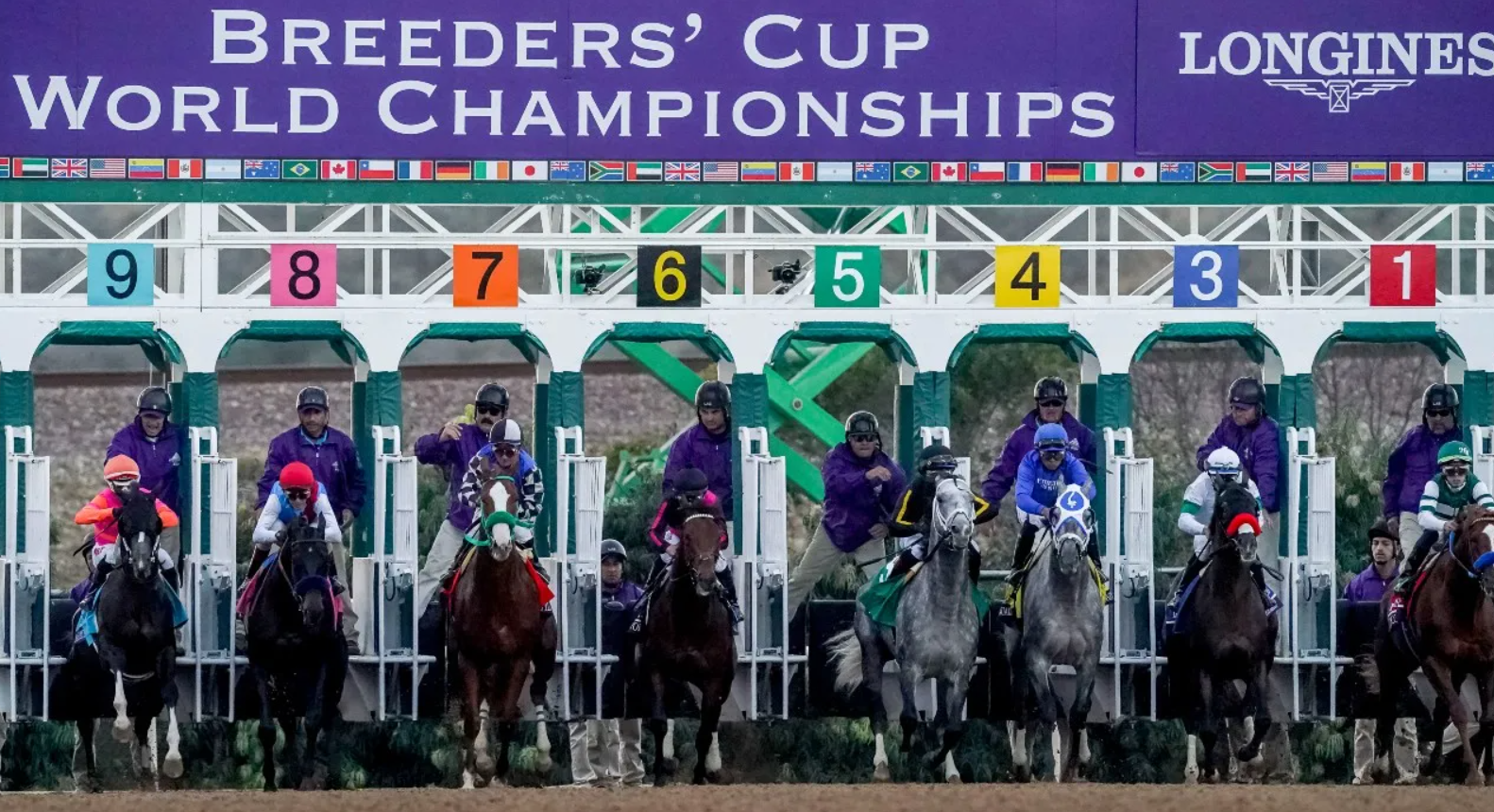 Breeders Cup Bitcoin Betting