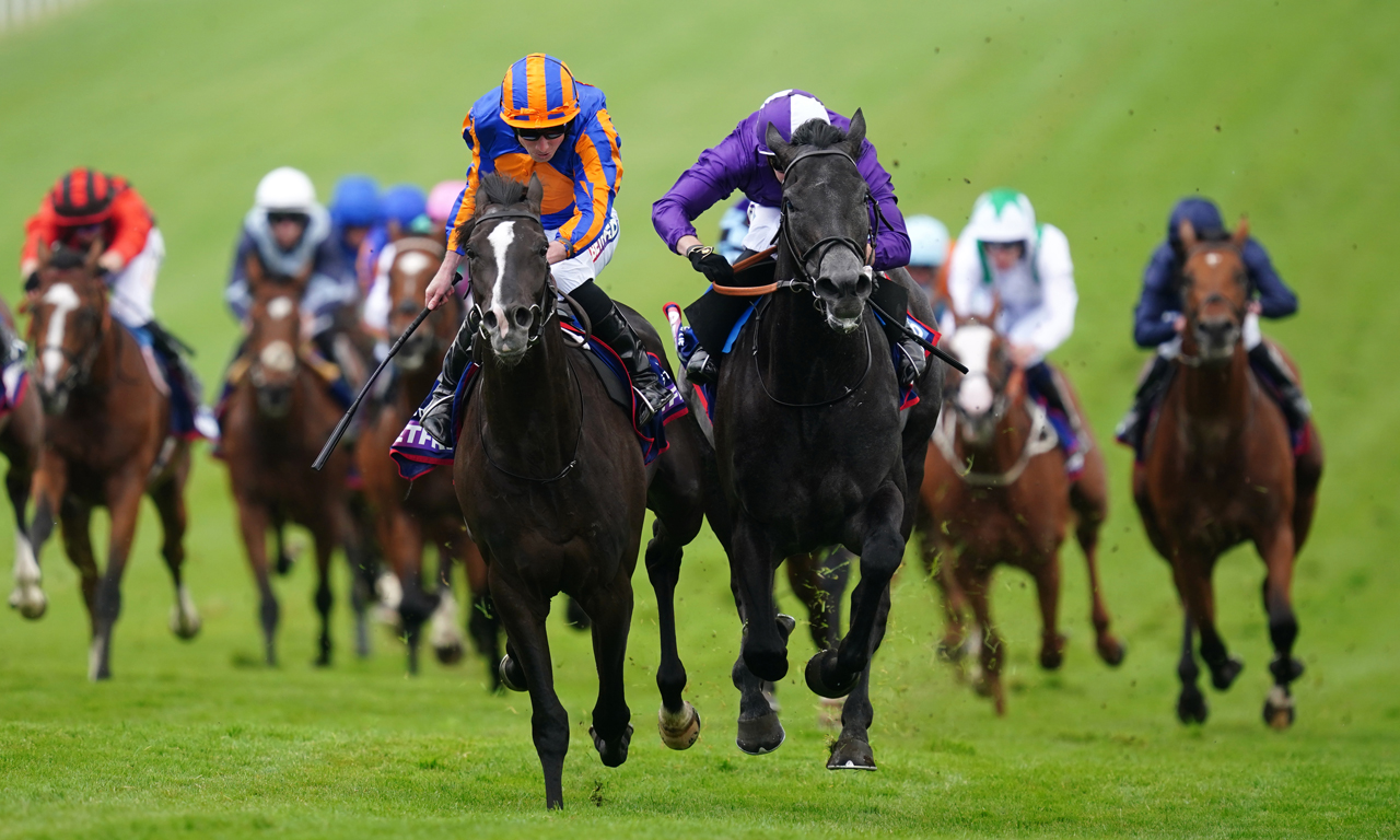 Derby irlandés Apuestas Bitcoin