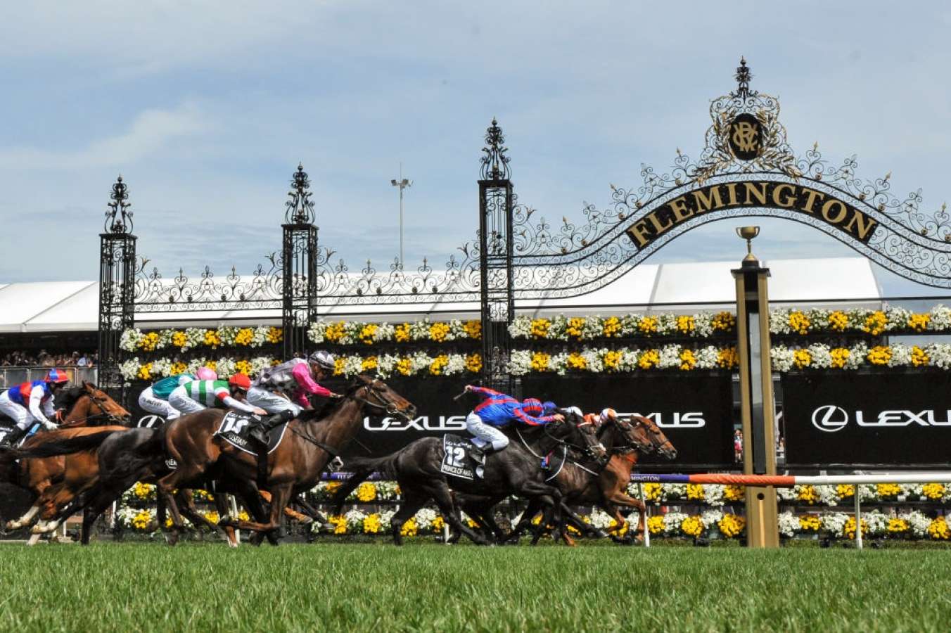 Melbourne Cup Bitcoin Betting
