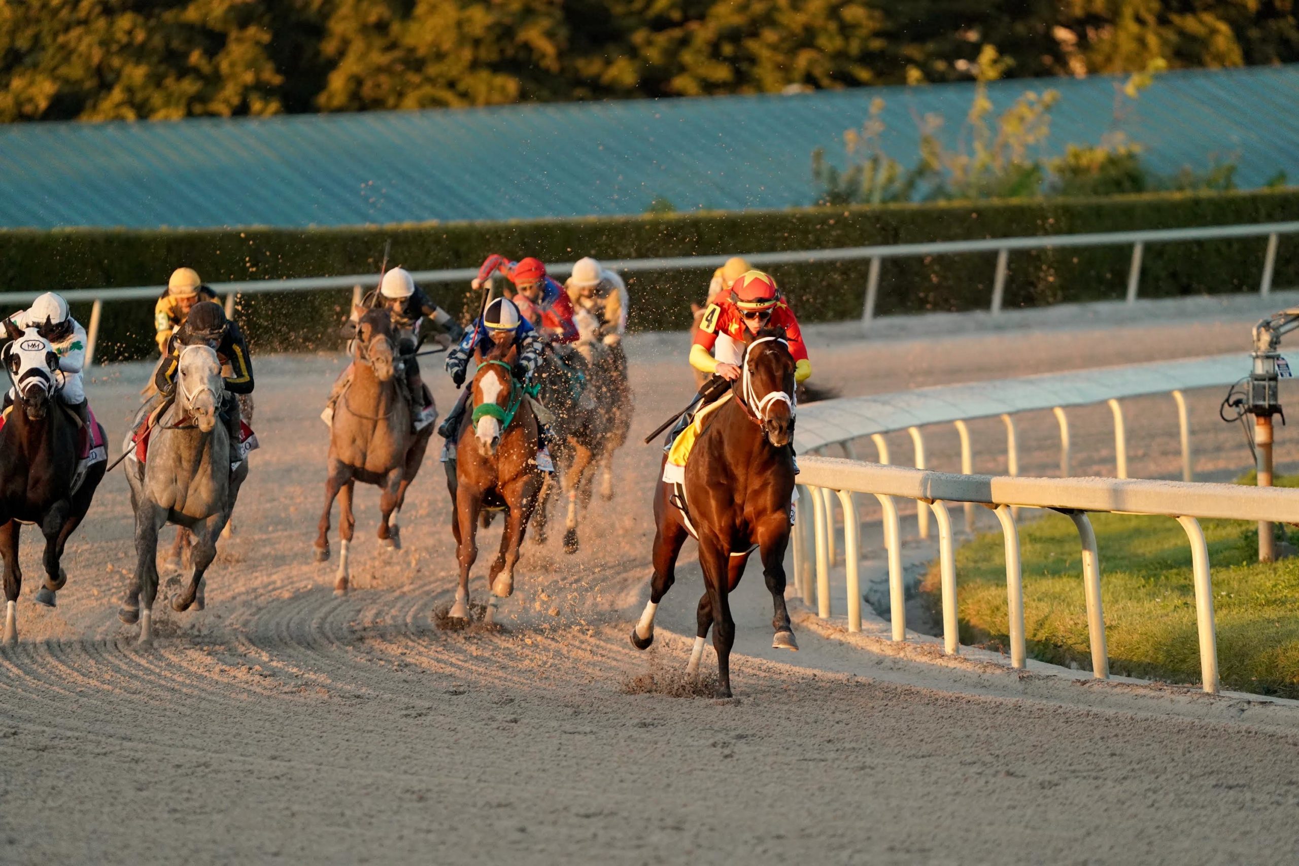 Pegasus World Cup Bitcoin Betting