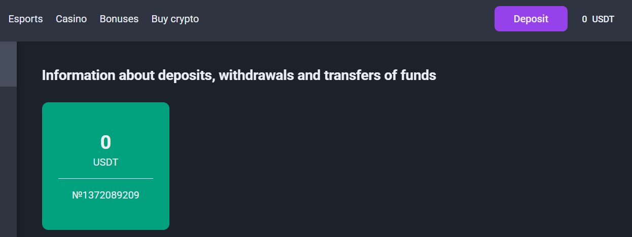 The transaction section of the profile Coinplay page, offering coin transfer histories. 