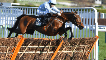 Bitcoin Betting on the Champion Hurdle at the Cheltenham Festival
