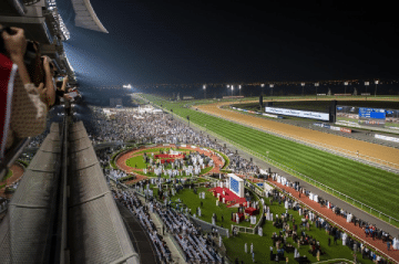 Dubai World Cup Bitcoin Betting