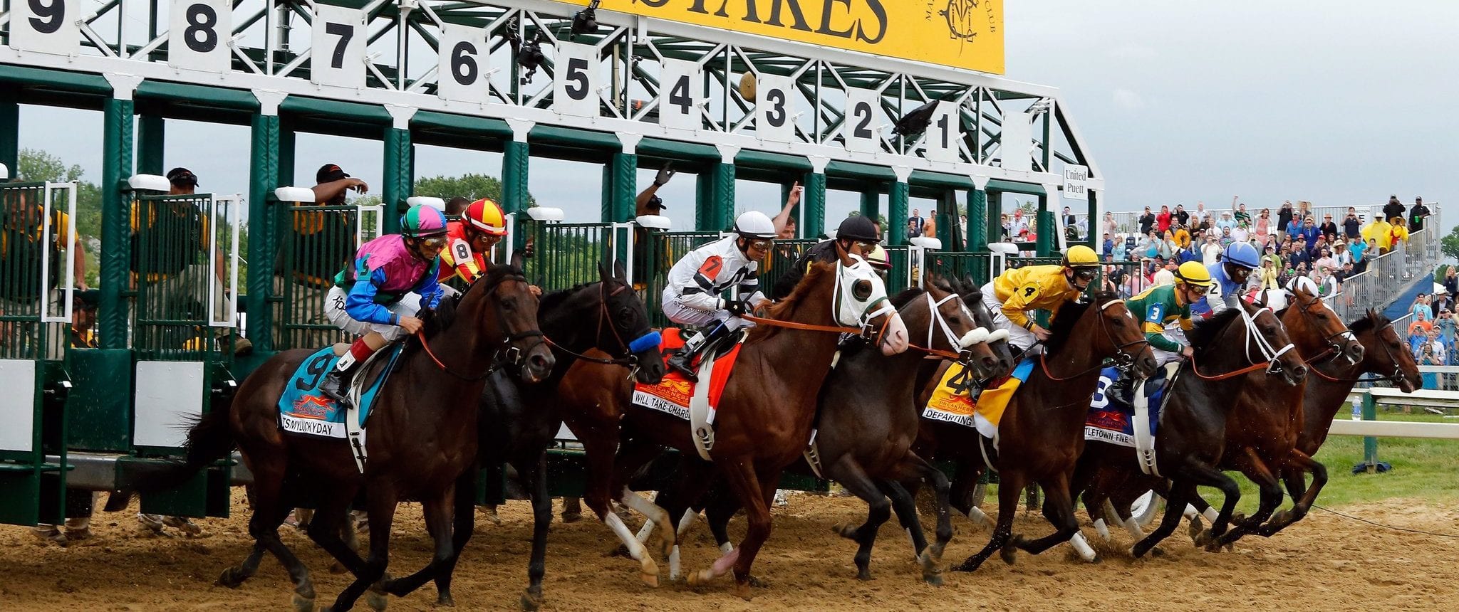 Preakness Stakes Bitcoin Betting