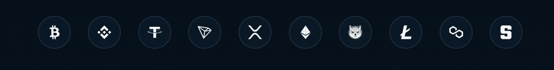 The cryptos accepted by the BetPanda gambling site.