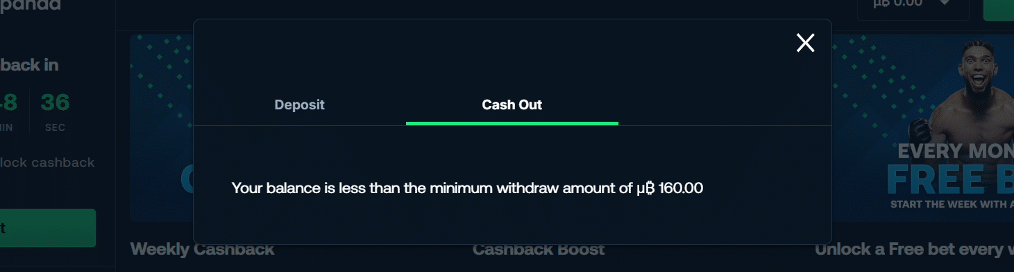 A look at the withdrawal tab in the BetPanda payment window.
