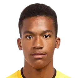 Alban Lafont